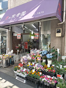 花の紫香園