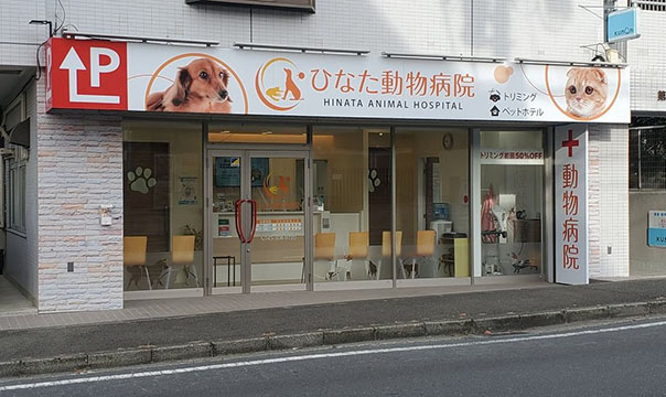ひなた動物病院