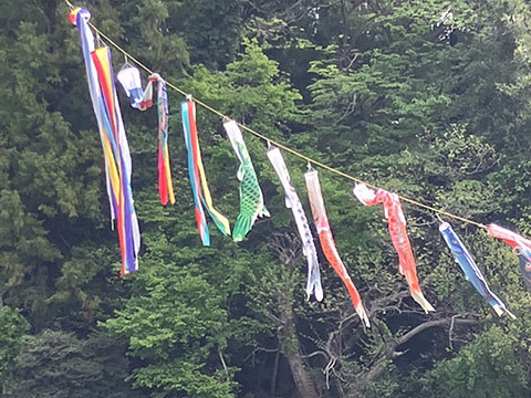 ひばり動物病院