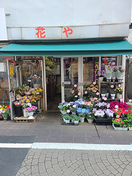 花や