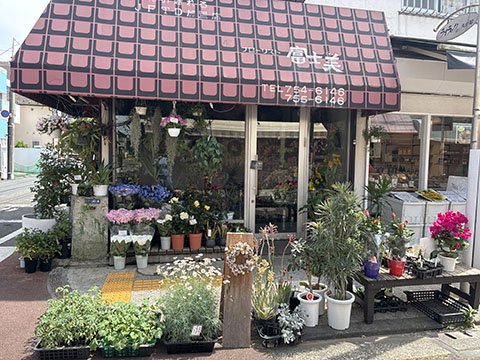 フローリスト富士美