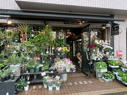 ショーケース