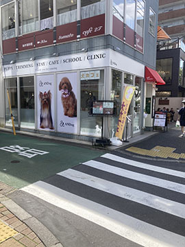 犬カフェ　ANDog