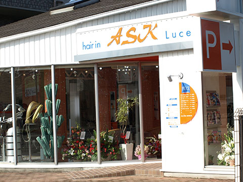 hair in ASK luce
