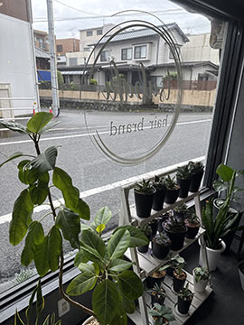 hair brand 椿