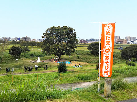 きぬたまあそび村