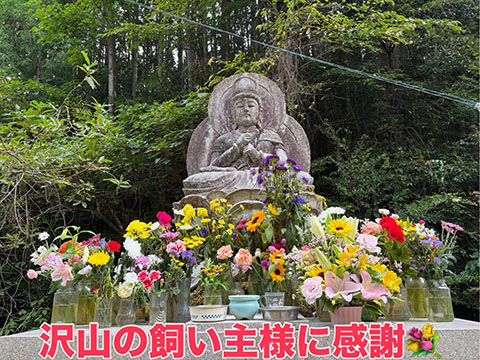 観音台ペット霊園大洲