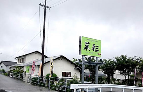 菜彩‐SAI‐