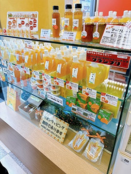 極々果実ちゅうちゅうSHOP